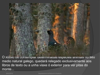26/02/2010Departamento de Bioloxía & Xeoloxía.O xúbilo de contemplar determinadas especies animais no seu medio natural galego, quedará relegado exclusivamente aos libros de texto ou a unha viaxe ó exterior para ver pitas do monte...