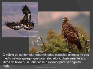 26/02/2010Departamento de Bioloxía & Xeoloxía.O xúbilo de contemplar determinadas especies animais no seu medio natural galego, quedará relegado exclusivamente aos libros de texto ou a unha viaxe ó exterior para ver aguias reais…