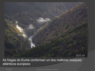 26/02/2010Departamento de Bioloxía & Xeoloxía.As fragas do Eume conforman un dos mellores bosques atlánticos europeos