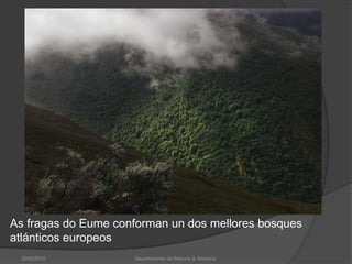 26/02/2010Departamento de Bioloxía & Xeoloxía.As fragas do Eume conforman un dos mellores bosques atlánticos europeos