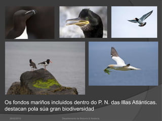 26/02/2010Departamento de Bioloxía & Xeoloxía.Os fondos mariños incluidos dentro do P. N. das Illas Atlánticas. destacan pola súa gran biodiversidad
