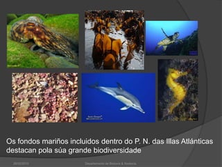 26/02/2010Departamento de Bioloxía & Xeoloxía.Os fondos mariños incluidos dentro do P. N. das Illas Atlánticas destacan pola súa grande biodiversidade