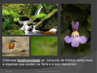 Chámase biodiversidade ao  conxunto de tódolos seres vivos e especies que existen na Terra e a súa interacción.26/02/2010Departamento de Bioloxía & Xeoloxía.