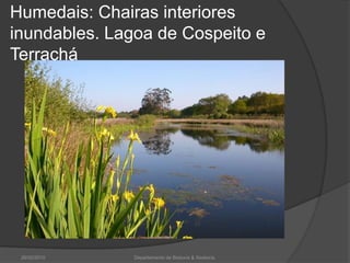 Humedais: Chairas interiores inundables. Lagoa de Cospeito e Terrachá26/02/2010Departamento de Bioloxía & Xeoloxía.