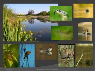 26/02/2010Departamento de Bioloxía & Xeoloxía.