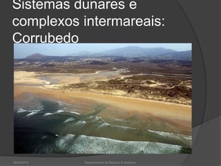 Sistemas dunares e complexos intermareais: Corrubedo 26/02/2010Departamento de Bioloxía & Xeoloxía.