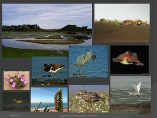 26/02/2010Departamento de Bioloxía & Xeoloxía.