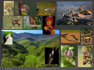 26/02/2010Departamento de Bioloxía & Xeoloxía.