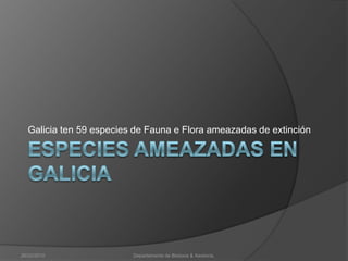 Galicia ten 59 especies de Fauna e Flora ameazadas de extinciónESPECIES AMEAZADAS EN GALICIA26/02/2010Departamento de Bioloxía & Xeoloxía.