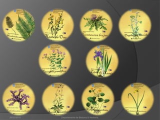 26/02/2010Departamento de Bioloxía & Xeoloxía.