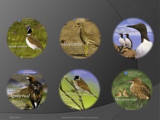 26/02/2010Departamento de Bioloxía & Xeoloxía.