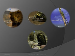 26/02/2010Departamento de Bioloxía & Xeoloxía.