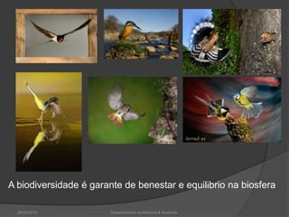 A biodiversidade é garante de benestar e equilibrio na biosfera26/02/2010Departamento de Bioloxía & Xeoloxía.