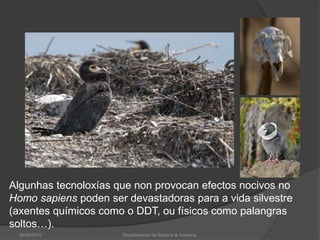 Algunhas tecnoloxías que non provocan efectos nocivos no Homo sapiens poden ser devastadoras para a vida silvestre (axentes químicos como o DDT, ou físicos como palangras soltos…).26/02/2010Departamento de Bioloxía & Xeoloxía.