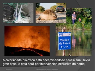 A diversidade biolóxica está encamiñándose cara a súa  sexta gran crise, e ésta será por intervención exclusiva do home26/02/2010Departamento de Bioloxía & Xeoloxía.