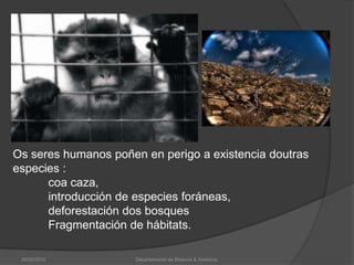 Os seres humanos poñen en perigo a existencia doutras especies :	coa caza,	introducción de especies foráneas, 	deforestación dos bosques 	Fragmentación de hábitats. 26/02/2010Departamento de Bioloxía & Xeoloxía.