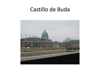 Castillo de Buda

 