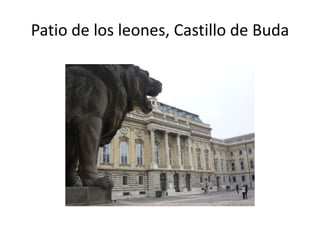 Patio de los leones, Castillo de Buda

 