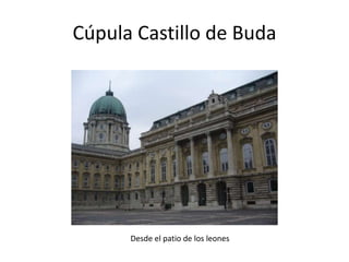 Cúpula Castillo de Buda

Desde el patio de los leones

 