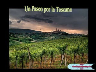 Un Paseo Por La Toscana