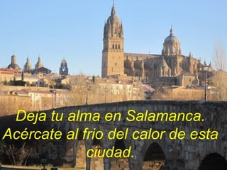 Deja tu alma en Salamanca.
Acércate al frio del calor de esta
ciudad.

 