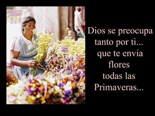 Dios se preocupa
 tanto por ti...
  que te envia
     flores
   todas las
 Primaveras...
 