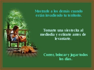 Mostrarle a los demás cuando están invadiendo tu territorio. Tomarte una siestecita al mediodía y estirarte antes de levantarte. Correr, brincar y jugar todos los dias. 