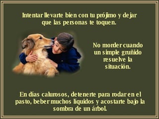 Intentar llevarte bien con tu prójimo y dejar que las personas te toquen. No morder cuando un simple gruñido resuelve la situación. En días calurosos, detenerte para rodar en el pasto, beber muchos líquidos y acostarte bajo la sombra de un árbol. 
