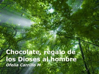 Chocolate, regalo de los Dioses al hombre Ofelia Carrillo M 