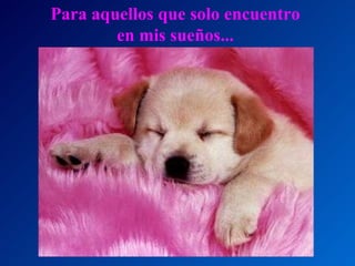Para aquellos que solo encuentro en mis sueños... 