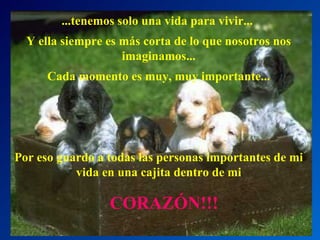 ...tenemos solo una vida para vivir...  Y ella siempre es más corta de lo que nosotros nos imaginamos... Cada momento es muy, muy importante... Por eso guardo a todas las personas importantes de mi vida en una cajita dentro de mi CORAZÓN!!! 