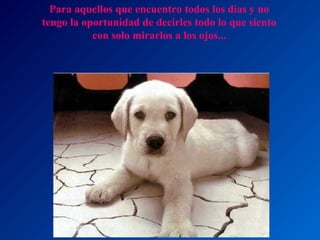 Para aquellos que encuentro todos los días y no
tengo la oportunidad de decirles todo lo que siento
con solo mirarlos a los ojos...

 