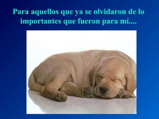 Para aquellos que ya se olvidaron de lo
importantes que fueron para mí....

 