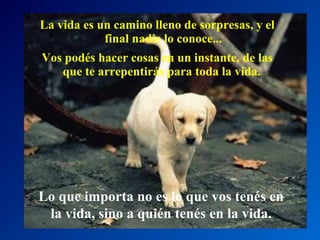 La vida es un camino lleno de sorpresas, y el
final nadie lo conoce...
Vos podés hacer cosas en un instante, de las
que te arrepentirás para toda la vida.

Lo que importa no es lo que vos tenés en
la vida, sino a quién tenés en la vida.

 