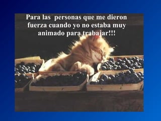 Para las personas que me dieron
fuerza cuando yo no estaba muy
animado para trabajar!!!

 