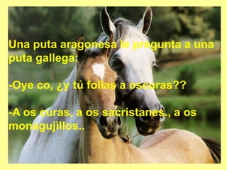 Una puta aragonesa le pregunta a una
puta gallega:
-Oye co, ¿y tú follas a oscuras??
-A os curas, a os sacristanes., a os
monagujillos..
 