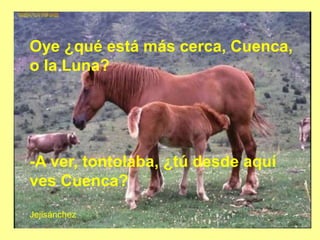 Oye ¿qué está más cerca, Cuenca,
o la Luna?
-A ver, tontolaba, ¿tú desde aquí
ves Cuenca?
Jejisánchez
 