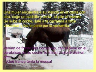Una mujer encuentra a su marido en la cama con
otra, coge un cuchillo y corta el pito al marido.
Se sube al coche, sale a la carretera a toda
velocidad y tira el pene por la ventanilla.
Venían de frente dos borrachos, cae el pene en el
parabrisas de su coche, lo miran y uno le dice al
otro:
- ¡Qué tranca tenía la mosca!
 