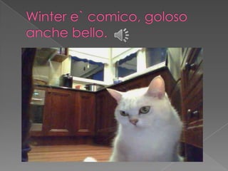 Un po di me brigitte