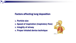 Factors affecting lung deposition
1. Particle size
2. Speed of inspiration (inspiratory flow)
3. Integrity of airway
4. Proper inhaled device technique
 
