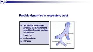 Particle dynamics in respiratory tract
 The physical mechanisms
governing the movement and
deposition of aerosol particles
in the air are:
1. Impaction
2. Sedimentation
3. Diffusion
 
