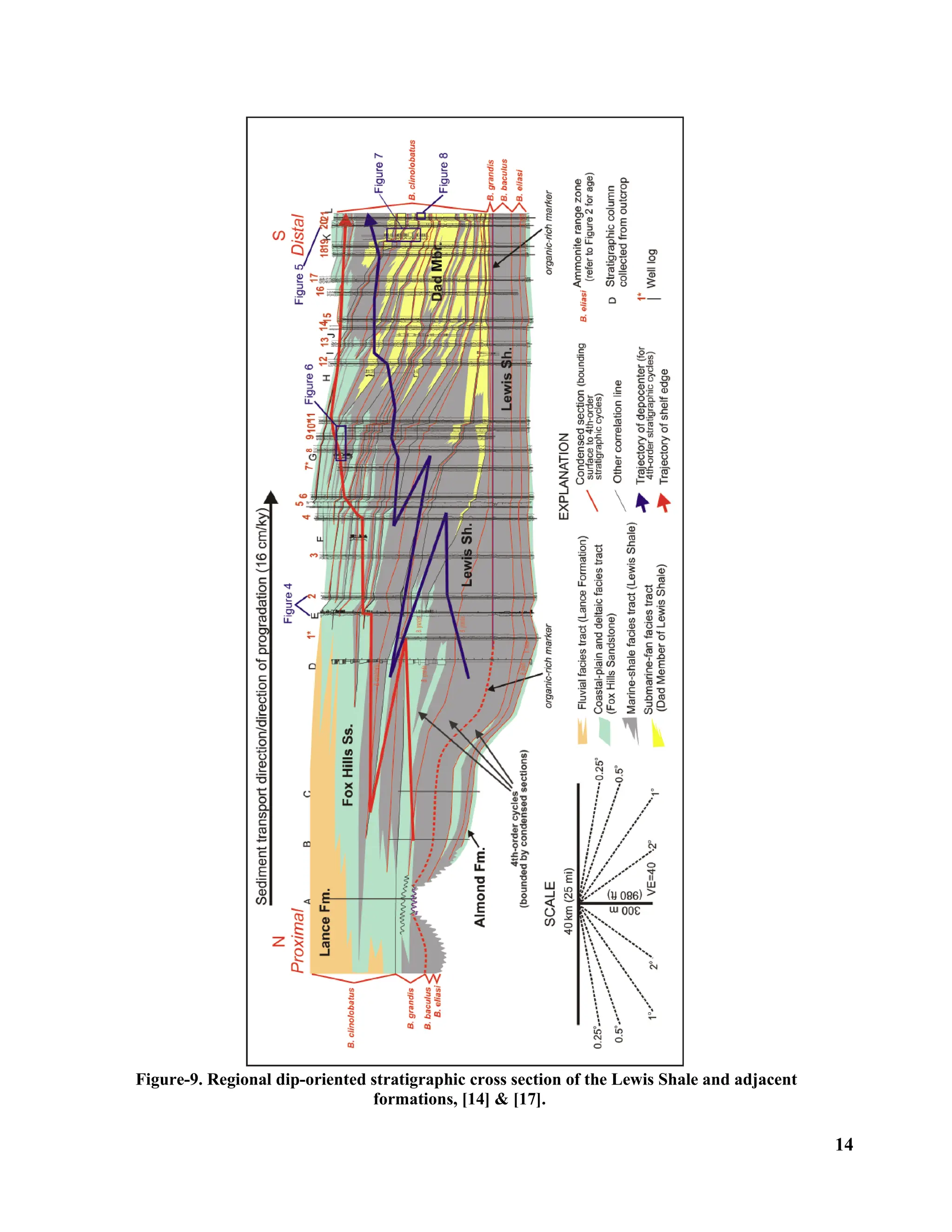 14
Figure-9. Regional dip-oriented stratigraphic cross section of the Lewis Shale and adjacent
formations, [14] & [17].
 