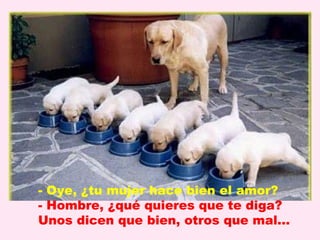 - Oye, ¿tu mujer hace bien el amor?
- Hombre, ¿qué quieres que te diga?
Unos dicen que bien, otros que mal...
 