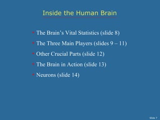 Inside the Human Brain


• The Brain’s Vital Statistics (slide 8)
• The Three Main Players (slides 9 – 11)
• Other Crucial Parts (slide 12)
• The Brain in Action (slide 13)
• Neurons (slide 14)




                                           Slide 7
 