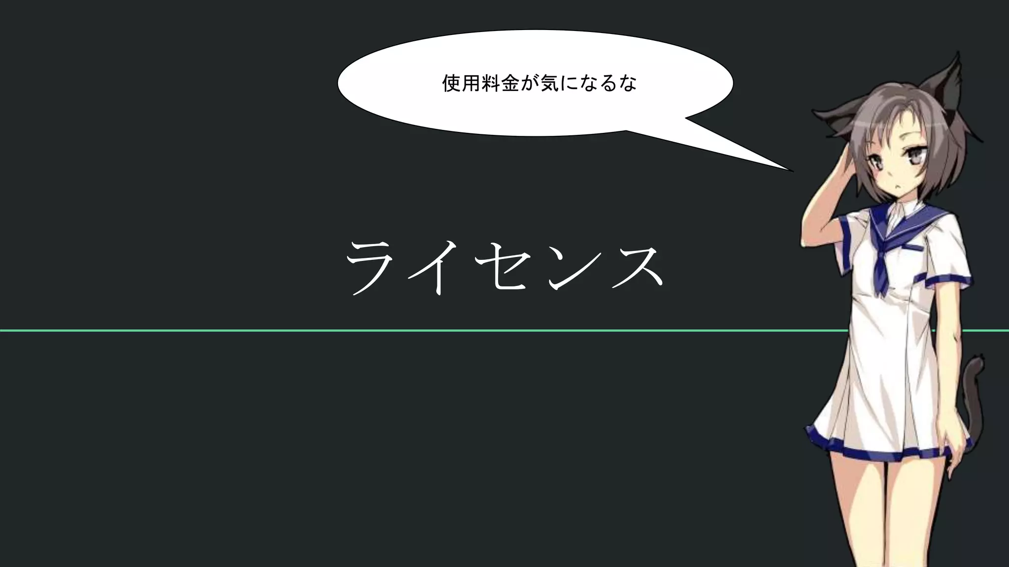 ライセンス
使用料金が気になるな
 