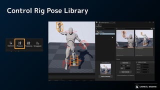 Control Rig Pose Library
 