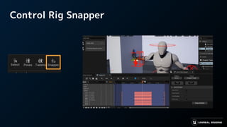 Control Rig Snapper
 
