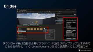 Bridge
ダウンロード後は自動で必要なプラグインや設定がポップアップしますので
こちらを有効化　すぐにMatahumanをUE5でご使用頂くことが可能です
 