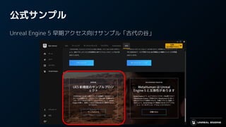 公式サンプル
Unreal Engine 5 早期アクセス向けサンプル「古代の谷」
 