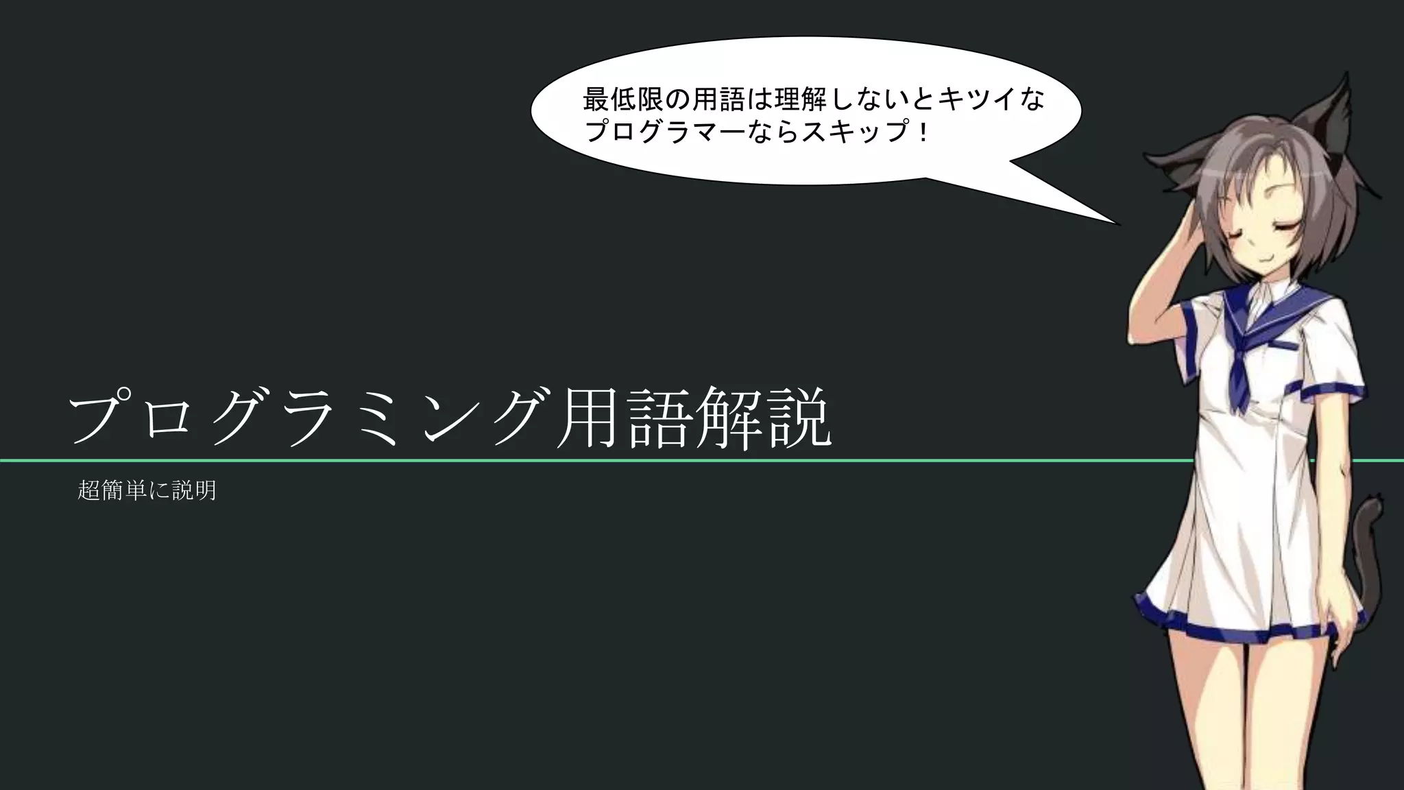 プログラミング用語解説
最低限の用語は理解しないとキツイな
プログラマーならスキップ！
超簡単に説明
 